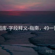 49图库-字段释义-指南，49一图库