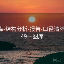 49图库-结构分析-报告-口径清晰透明，49一图库