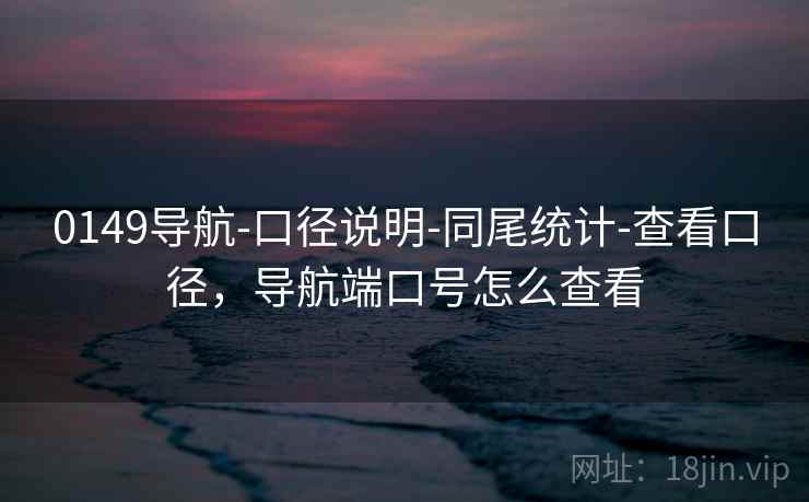 0149导航-口径说明-同尾统计-查看口径，导航端口号怎么查看  第1张